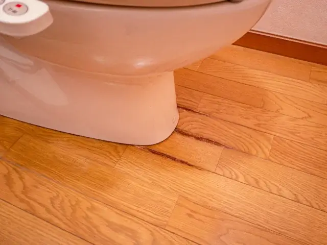 よくある修理事例トイレ水漏れの典型ケース紹介