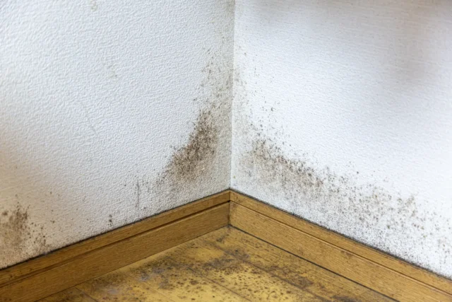 水漏れを放置するとどうなる？二次被害とリスク