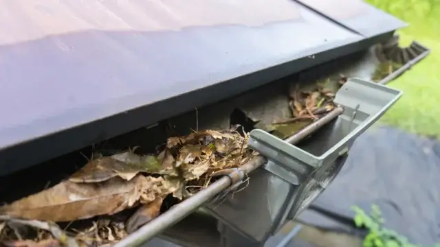 雨漏りと漏水を防ぐための定期点検と予防策